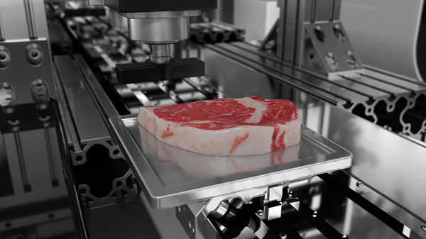 Kinh doanh sản phẩm in 3D làm đồ ăn giả là một ý tưởng thông minh